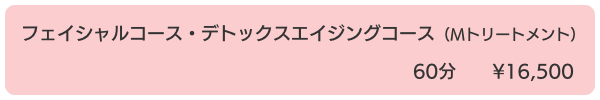 salondeG&G_フェイシャルデトックスエイジングコース